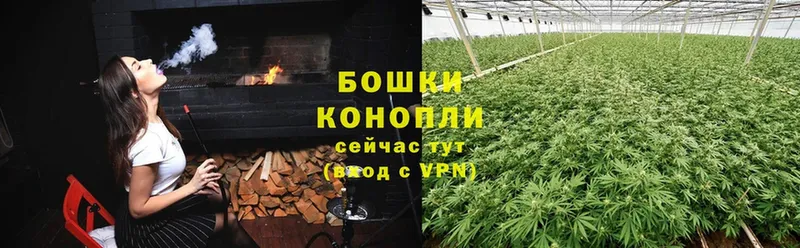 Марихуана SATIVA & INDICA  Михайловск 